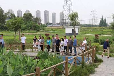 泰興鎮(zhèn)人大代表團開展《水污染防治法》專項視察，推進水污染治理工作